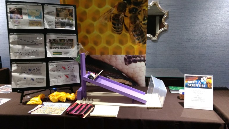 Demo image (without me)