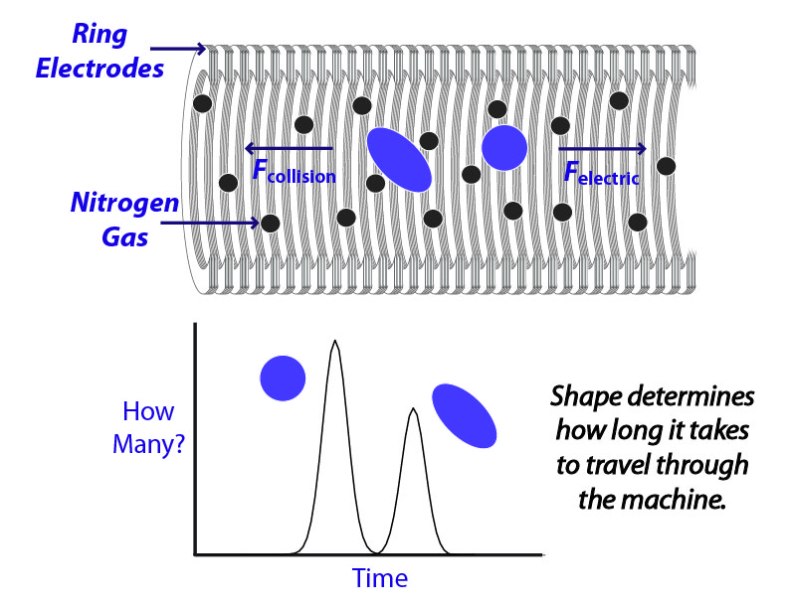Labeled loaded image